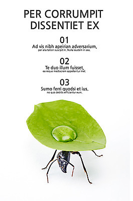 템플릿 내지 곤충 텍스트 나뭇잎 사람없음 물방울 프레젠테이션 문서템플릿 서식 레이아웃 문서 제안서 개미 목차 이미지템플릿 AI파일 동물 잎 파일형식 벡터