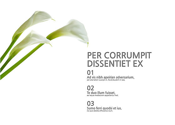 식물 템플릿 꽃 내지 텍스트 사람없음 프레젠테이션 카라 문서템플릿 서식 레이아웃 문서 제안서 목차 이미지템플릿 AI파일 파일형식 벡터