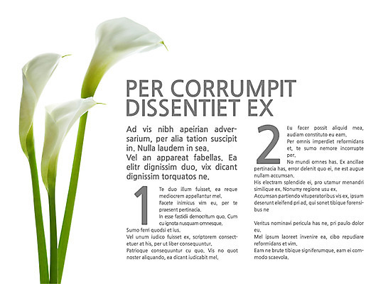 식물 템플릿 꽃 내지 텍스트 사람없음 프레젠테이션 카라 문서템플릿 서식 레이아웃 문서 제안서 이미지템플릿 AI파일 파일형식 벡터