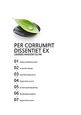 식물 템플릿 내지 텍스트 나뭇잎 사람없음 돌_바위 물방울 프레젠테이션 문서템플릿 서식 레이아웃 문서 제안서 목차 이미지템플릿 AI파일 잎 파일형식 벡터