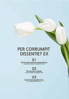 식물 템플릿 꽃 내지 텍스트 사람없음 튤립 프레젠테이션 문서템플릿 서식 레이아웃 문서 제안서 목차 이미지템플릿 AI파일 파일형식 벡터