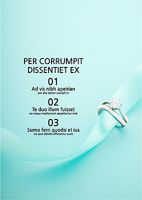 템플릿 리본 내지 텍스트 사람없음 반지 프레젠테이션 문서템플릿 서식 레이아웃 문서 제안서 목차 이미지템플릿 AI파일 장신구 파일형식 벡터