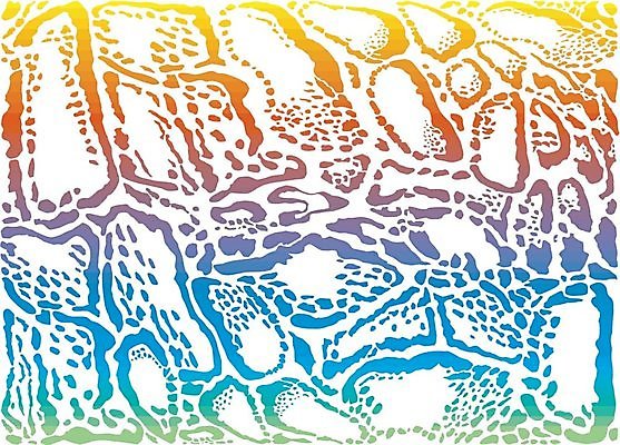 EPS 해외이미지 동물 백그라운드 무지개 패턴 일러스트 벽지 추상 피부 그림 질감 표범 해외202004 해외일러스트 자연요소 무늬 포유류 신체부위 파일형식 벡터 이미지허브