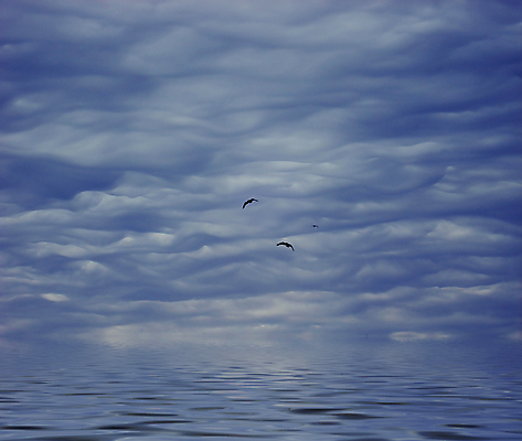 포토 JPG 해외이미지 구름 계절 백그라운드 자연 벽지 하늘 바람 날씨 추상 풍경 잔디 사람없음 야외 파란색 빛 컬러풀 환경 흰색 시골 신선 위험 땅 장면 천국 내추럴 재앙 해외202004 해외포토 자연요소 식물 컬러 컨셉 무늬 생태계 파일형식 이미지허브