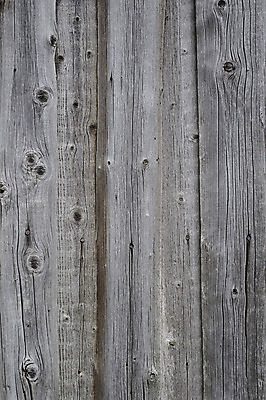 포토 JPG 해외이미지 백그라운드 패턴 자연 표면 날씨 사람없음 야외 목재 울타리 회색 수확 소나무 판넬 거친 플랫 떨어짐 널 목수 폐허 질감 매듭 스크래치 찢어짐 목판 옛날 해외202004 해외포토 나무 직업 컬러 컨셉 무늬 농업 재료 모션 담장 생태계 파일형식 이미지허브