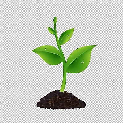 EPS 해외이미지 나무 식물 계절 백그라운드 컨셉 잎 일러스트 자연 새로움 씨앗 사람없음 초록색 새싹 정원 희망 흙 봄 성장 신선 내추럴 모종 해외202004 해외일러스트 감정 컬러 생태계 파일형식 벡터 이미지허브