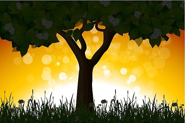 EPS 해외이미지 나무 식물 꽃 백그라운드 잎 밭 일러스트 자연 하늘 불꽃 풍경 야외 초록색 일출 환경 땅 장면 내추럴 캐모마일 수평선 해외202004 해외일러스트 컬러 농업 불 노을 허브 생태계 파일형식 벡터 이미지허브