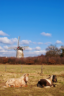 포토 JPG 해외이미지 휴식 사람없음 풍차 네덜란드 방앗간 거짓말 해외202004 해외포토 유럽 컨셉 파일형식 이미지허브