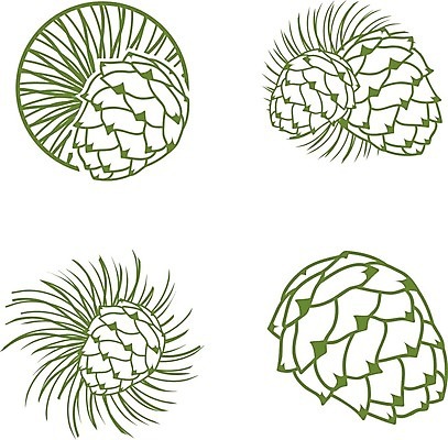 EPS 해외이미지 나무 식물 디자인 계절 크리스마스 일러스트 자연 추상 휴가 미술 목재 장식 세트 소나무 수집 심볼 오브젝트 에코 솔방울 전나무 원뿔 내추럴 삼나무 엘리먼트 해외202004 해외일러스트 도형 기념일 무늬 재료 문화예술 환경 생태계 파일형식 벡터 이미지허브