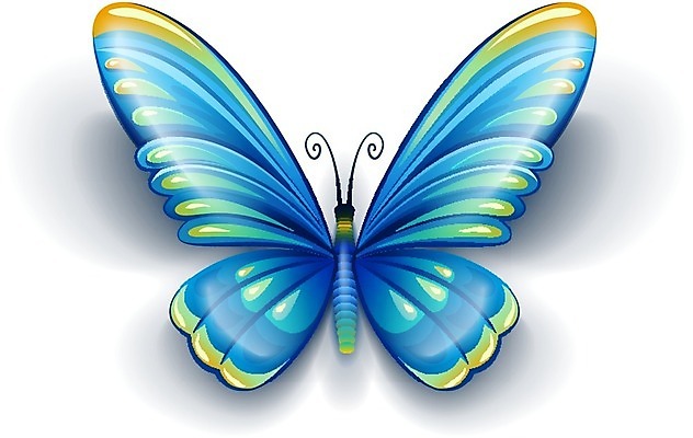 EPS 해외이미지 동물 나비 곤충 백그라운드 날개 일러스트 자연 안테나 앉기 파란색 컬러풀 활발 흰색 벌레 작음 묘사 싱글 생물학 나방 내추럴 고립 동물상 해외202004 해외일러스트 교육 컬러 컨셉 통신 모션 조형물 크기 생태계 파일형식 벡터 이미지허브