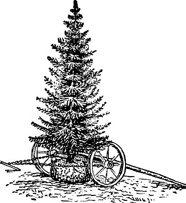 EPS 해외이미지 나무 산업 일러스트 선두 해외202004 해외일러스트 식물 파일형식 벡터 이미지허브