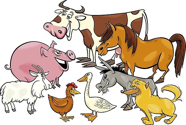 EPS 해외이미지 클립아트 동물 캐릭터 디자인 행복 어린이 일러스트 포유류 조류 동화 염소 뿔 미소 그래픽 세트 농장 치킨 가축 유치원 돼지 점 그룹 소 개 만화 수집 그림 꼬리 부리 갈기 공상 거위 조랑말 주둥이 당나귀 마스코트 암탉 해외202004 해외일러스트 일러캐릭터 교육 감정 농업 표정 사람 닭 말_동물 암컷 닭고기요리 파일형식 벡터 이미지허브