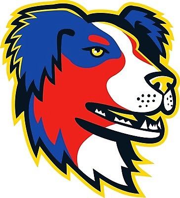 EPS 해외이미지 캐릭터 스포츠 일러스트 그래픽 반려동물 머리 호주 만화 심볼 사인 복고 신분 보더콜리 송곳니 기르기 마스코트 해외202004 해외일러스트 일러캐릭터 동물 신체부위 오세아니아 치아 콜리 돌봄 파일형식 벡터 이미지허브