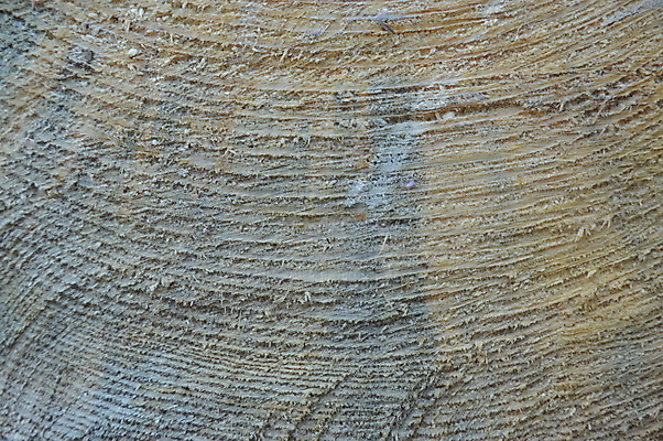 포토 JPG 해외이미지 나무 디자인 산업 백그라운드 패턴 자연 표면 추상 사람없음 목재 반지 원형 균열 숲 장작 자르기 질감 통나무 잡동사니 내추럴 수목 해외202004 해외포토 도형 식물 무늬 재료 장신구 모션 생태계 파일형식 이미지허브