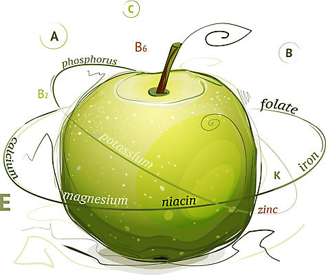 EPS 해외이미지 디자인 음식 백그라운드 컨셉 다이어트 과일 일러스트 추상 건강 미술 장식 초록색 컬러풀 활발 흰색 신선 사과 만화 스케치 심볼 오브젝트 싱글 그림 유기농 내추럴 고립 생태학 숙성 채식주의자 목차 해외202004 해외일러스트 웰빙 교육 컬러 무늬 문화예술 채식 파일형식 벡터 이미지허브