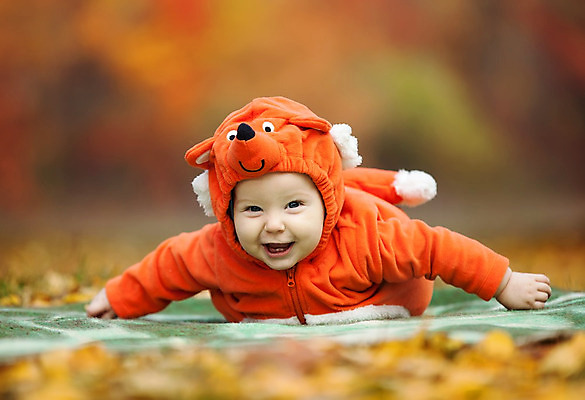 포토 JPG 해외이미지 주간 전신 서양인 남자 엎드리기 낙엽 한명 미소 야외 앞모습 아웃포커스 잠옷 가을 아기 여우 남자아기한명만 동물옷 해외포토 자연요소 외국인 1 옷 계절 뷰포인트 잎 포유류 모션 촬영기법 표정 사람 남자한명만 남자아기만 파일형식 이미지허브
