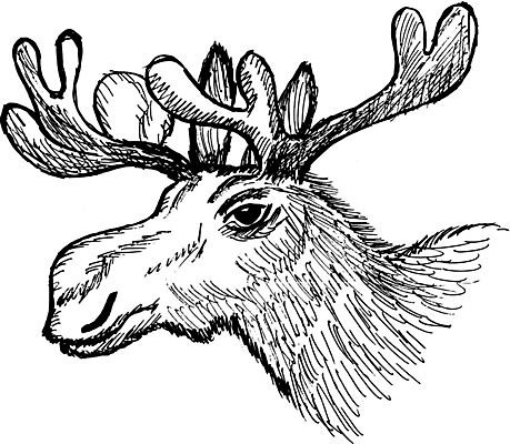 EPS 해외이미지 동물 손 계절 남자 야생동물 일러스트 포유류 뿔 머리 숲 만화 스케치 손그림 엘크 해외202004 해외일러스트 미술 사람 신체부위 파일형식 벡터 이미지허브