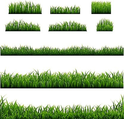 EPS 해외이미지 클립아트 모양 식물 디자인 계절 꽃 백그라운드 잎 꽃무늬 밭 일러스트 부활절 프레임 잔디 가로 초록색 여름 세트 정원 봄 흰색 신용카드 말벌 땅 수집 허브 오브젝트 그림 에코 유기농 조경 내추럴 고립 생태학 엘리먼트 해외202004 해외일러스트 웰빙 교육 기념일 컬러 무늬 농업 금융 환경 벌_곤충 파일형식 벡터 이미지허브