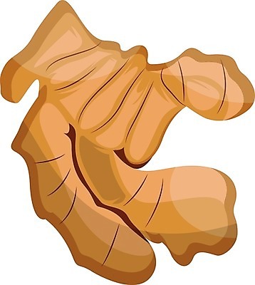 EPS 해외이미지 식물 음식 조각 백그라운드 잎 채소 일러스트 재료 자연 건강 요리 초록색 약 흰색 신선 조미료 스케치 허브 향신료 유기농 매움 날것 아로마 뿌리 생강 내추럴 고립 엘리먼트 채식주의자 강황 비건 해외202004 해외일러스트 웰빙 컬러 식재료 의학 미술 맛 생태계 채식 향미료 파일형식 벡터 이미지허브