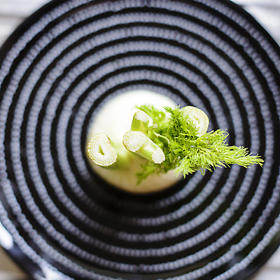 포토 JPG 해외이미지 음식 잎 다이어트 채소 재료 전구 자연 건강 요리 사람없음 초록색 샐러드 흰색 신선 먹기 깃털 메뉴 유기농 날것 성분 내추럴 고립 생식 채식주의자 회향 해외202004 해외포토 식물 웰빙 컬러 모션 생태계 채식 파일형식 이미지허브