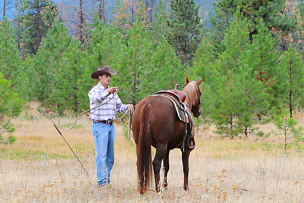 포토 JPG 해외이미지 식물 동물 백인 남자 포즈 셔츠 건조 부츠 한명 사람 야외 농장 가축 목장 벨트 흰색 청바지 시골 붓 카우보이 먼지 안장 라이더 서쪽 해외202004 해외포토 서양인 1 잡화 컬러 신발 상의 농업 바지 방향 파일형식 이미지허브