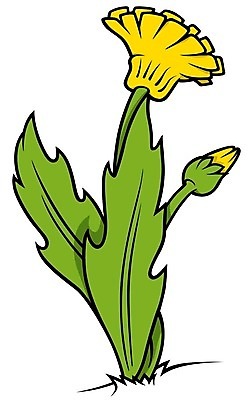 EPS 해외이미지 클립아트 식물 꽃잎 꽃 줄기 잎 일러스트 자연 민들레 만화 그림 윤곽 손그림 고립 해외202004 해외일러스트 생태계 파일형식 벡터 이미지허브