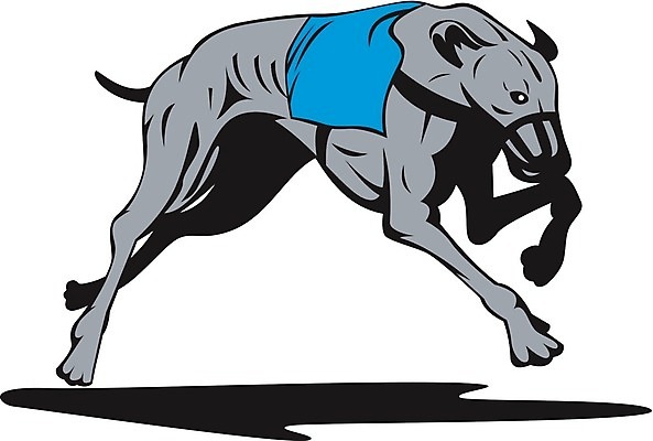 EPS 해외이미지 스포츠 일러스트 그래픽 반려동물 레이싱 개 복고 사냥개 송곳니 해외202004 해외일러스트 동물 포유류 시합 치아 파일형식 벡터 이미지허브