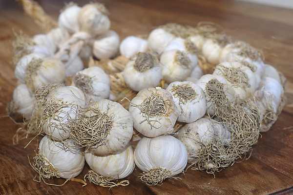 포토 JPG 해외이미지 리본 줄 음식 백그라운드 채소 재료 건강 마늘 육류 요리 사람없음 초록색 주방 식사 저녁식사 이탈리아 신선 먹기 허브 향신료 올리브 채식주의자 해외202004 해외포토 식물 열매 유럽 컬러 식재료 모션 채식 향미료 파일형식 이미지허브