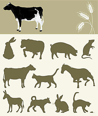 EPS 해외이미지 식물 동물 디자인 실루엣 줄기 농업 일러스트 자연 육류 풍경 세로 우주 마을 고양이 우유 수확 토끼 돼지 소 개 쥐 작음 낟알 밀 다발 묶기 수집 보따리 황소 당나귀 내추럴 휘장 고립 동물상 귀리 해외202004 해외일러스트 산업 식재료 포유류 모션 유제품 곡류 촬영기법 반려동물 조형물 말_동물 설치류 크기 생태계 파일형식 벡터 이미지허브