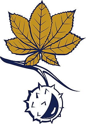 EPS 해외이미지 나무 식물 디자인 종이 단풍 잎 꽃무늬 오렌지 과일 일러스트 자연 미술 씨앗 목재 초록색 파란색 세트 갈색 노란색 환경 견과류 성장 가을 흰색 신선 황금 숲 도토리 곱셈 생태학 시리즈 해외202004 해외일러스트 계절 교육 꽃 컬러 무늬 재료 문화예술 수학 생태계 파일형식 벡터 이미지허브