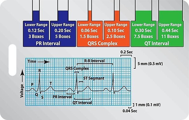 EPS 해외이미지 일러스트 가이드 그래프 병원 그래픽 약 진료 고통 시험 공구 하트 마음 그리기 맥박 결과 질병 인쇄 분석 배지 동맥 궤 돌봄 심장병 심전도 해외202004 해외일러스트 모양 직업 교육 감정 컨셉 의학 모션 도구 혈관 파일형식 벡터 이미지허브