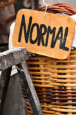 포토 JPG 해외이미지 전통 음식 백그라운드 자연 건강 씨앗 사람없음 바구니 식사 빵집 흰색 아침식사 상품 낟알 밀 심볼 유기농 롤 덩어리 번 페스츄리 해외202004 해외포토 식물 웰빙 빵 컬러 곡류 상점 생태계 파일형식 이미지허브