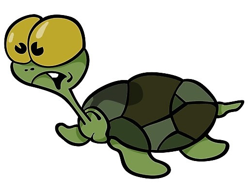 EPS 해외이미지 클립아트 동물 캐릭터 일러스트 자연 초록색 거북이 만화 그림 손그림 등딱지 해외202004 해외일러스트 일러캐릭터 컬러 파충류 생태계 파일형식 벡터 이미지허브