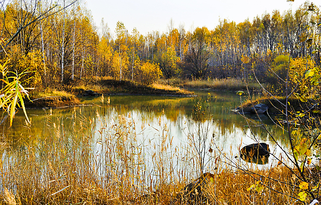 포토 JPG 해외이미지 나무 호수 파도 잎 자연 하늘 표면 풍경 사람없음 야외 초록색 물 여름 파란색 햇빛 반사 환경 침묵 자유 시골 숲 땅 장면 멀리 내추럴 해외202004 해외포토 자연요소 식물 계절 바다 컬러 컨셉 태양 소리 생태계 파일형식 이미지허브