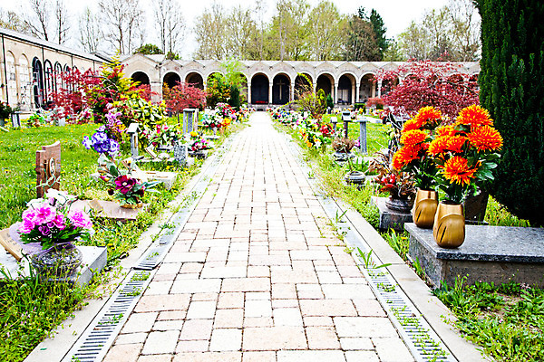 포토 JPG 해외이미지 문화 얼굴 조각 백그라운드 건축양식 천사 미술 사람없음 조각상 머리 평화 우주 수확 골동품 바위 기도 죽음 표현 무덤 영혼 심볼 묘사 대리석 신성 천국 천연기념물 옛날 스타일 해외202004 해외포토 건축 컨셉 농업 재료 문화예술 신체부위 조형물 돌_바위 파일형식 이미지허브
