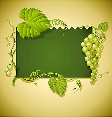 EPS 해외이미지 식물 템플릿 디자인 줄기 백그라운드 잎 꽃무늬 패턴 일러스트 자연 포도 프레임 함께함 장식 초록색 와인 수확 나뭇가지 버드나무 그림 포도나무 내추럴 해외202004 해외일러스트 나무 꽃 컬러 컨셉 무늬 농업 과일 주류 과일나무 생태계 파일형식 벡터 이미지허브