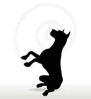 EPS 해외이미지 동물 실루엣 새끼 포즈 일러스트 자연 그림자 그래픽 검은색 개 강아지 스케치 흰배경 사냥개 윤곽 송곳니 구걸 고립 엘리먼트 해외202004 해외일러스트 컬러 백그라운드 포유류 촬영기법 미술 반려동물 흰색 치아 생태계 파일형식 벡터 이미지허브