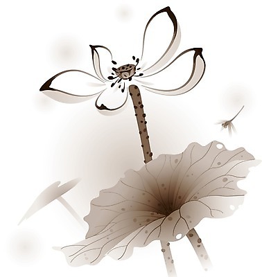 EPS 해외이미지 식물 꽃 선 분홍색 잎 일러스트 자연 세로 물 일본 중국 성장 연못 우아함 해외202004 해외일러스트 자연요소 아시아 컬러 컨셉 생태계 파일형식 벡터 이미지허브