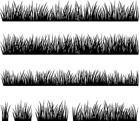 EPS 해외이미지 모양 식물 템플릿 실루엣 백그라운드 잎 패턴 일러스트 자연 프레임 잔디 사람없음 가로 세트 검은색 흰색 수집 허브 그림 원예 내추럴 엘리먼트 해외202004 해외일러스트 컬러 무늬 촬영기법 취미 생태계 파일형식 벡터 이미지허브