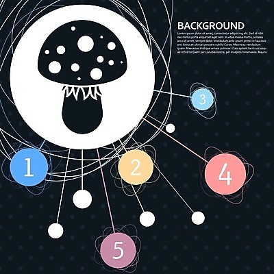EPS 해외이미지 식물 디자인 계절 실루엣 음식 백그라운드 패턴 일러스트 자연 주택 미술 버섯 가을 점 독약 숲 위험 만화 고립 곰팡이 독버섯 땅바닥 엘리먼트 환각 해외202004 해외일러스트 컨셉 무늬 문화예술 바닥 촬영기법 건물 생태계 증상 파일형식 벡터 이미지허브
