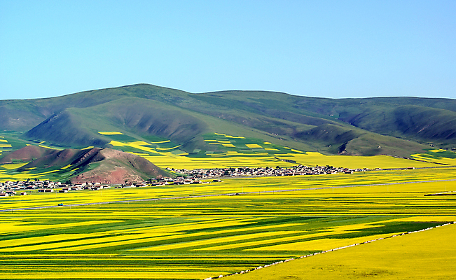 포토 JPG 해외이미지 자연 하늘 산 풍경 사람없음 농작물 노란색 폭포 내추럴 해외202004 해외포토 컬러 농업 생태계 파일형식 이미지허브