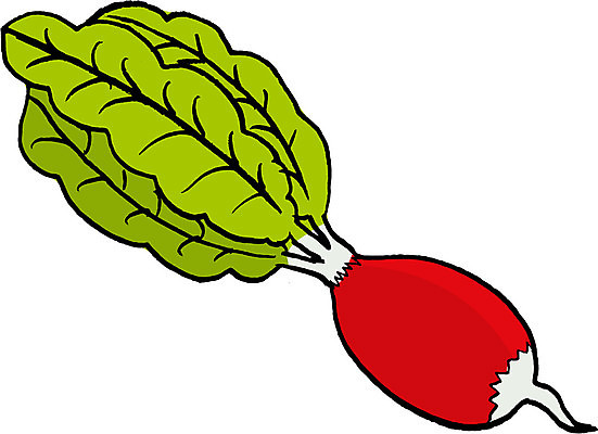 EPS 해외이미지 식물 1 음식 잎 채소 일러스트 재료 자연 건강 요리 빨간색 초록색 정원 보라색 샐러드 수확 신선 오브젝트 싱글 날것 뿌리 손그림 숙성 채식주의자 총각무 비건 해외202004 해외일러스트 컬러 농업 무 생태계 채식 파일형식 벡터 이미지허브