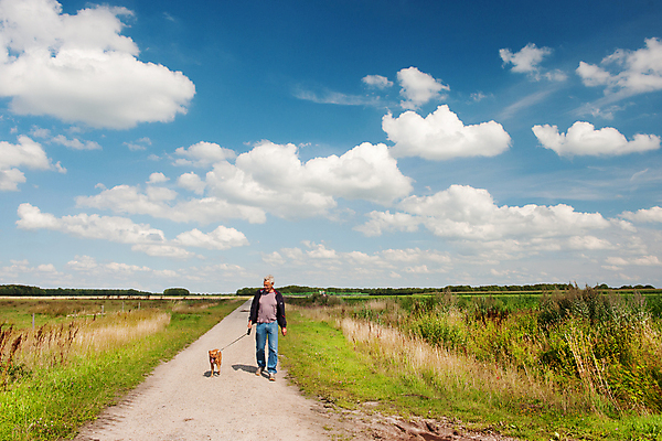 포토 JPG 해외이미지 구름 길 모션 자연 한명 사람 풍경 야외 반려동물 걷기 하이킹 개 네덜란드 수평선 해외202004 해외포토 자연요소 동물 1 유럽 포유류 레저 생태계 파일형식 이미지허브