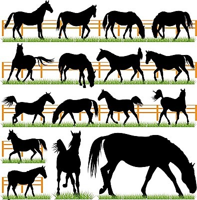 EPS 해외이미지 동물 스포츠 신체 일러스트 포유류 모션 이야기 달리기 머리 점프 검은색 경쟁 수확 승마 승차 쇼 갈기 판화 안장 고립 굴레 단아함 서쪽 해외202004 해외일러스트 컬러 컨셉 농업 미술 신체부위 방향 파일형식 벡터 이미지허브