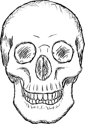 EPS 해외이미지 1 선 일러스트 해부 뼈 잉크 골격 흑백 미술 미소 웃음 사람 머리 검은색 할로윈 수확 흰색 죽음 거친 닫기 치아 낙서 만화 스케치 심볼 오브젝트 고민 그림 심플 고립 그런지 해골모형 소름 해외202004 해외일러스트 감정 컬러 농업 의학 모션 문화예술 촬영기법 표정 신체부위 모형 소화기관 파일형식 벡터 이미지허브