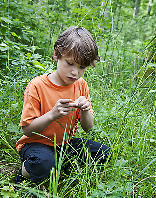 포토 JPG 해외이미지 식물 백인 손 열매 어린이 음식 과일 자연 딸기 디저트 건강 관리 한명 소년 야외 빨간색 초록색 농작물 봄 선택 수집 밀짚 숙성 해외202004 해외포토 서양인 1 계절 남자 컬러 컨셉 농업 사람 신체부위 짚 생태계 파일형식 이미지허브