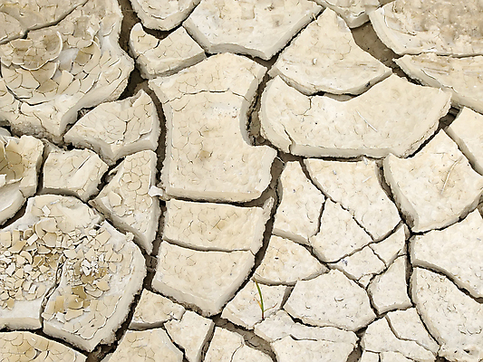 포토 JPG 해외이미지 밭 사람없음 흙 패배 가뭄 해외202004 해외포토 농업 날씨 파일형식 이미지허브