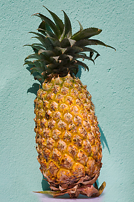 포토 JPG 해외이미지 식물 계절 음식 줄기 잎 다이어트 과일 재료 자연 디저트 프레임 건강 사람없음 세로 초록색 여름 노란색 활발 신선 달콤 맛 먹기 파인애플 유기농 날것 숙성 채식주의자 해외202004 해외포토 웰빙 컬러 컨셉 모션 열대과일 생태계 채식 파일형식 이미지허브