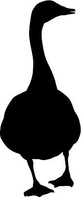 EPS 해외이미지 동물 디자인 실루엣 바다 백그라운드 일러스트 자연 조류 추상 오리 미술 서기 그래픽 물 반려동물 강 농장 머리 유행 걷기 검은색 산책 흰색 우아함 만화 스케치 심볼 오브젝트 사인 그림 사냥 부리 윤곽 거위 고립 해외202004 해외일러스트 자연요소 컬러 컨셉 무늬 농업 모션 문화예술 휴식 촬영기법 신체부위 생태계 파일형식 벡터 이미지허브