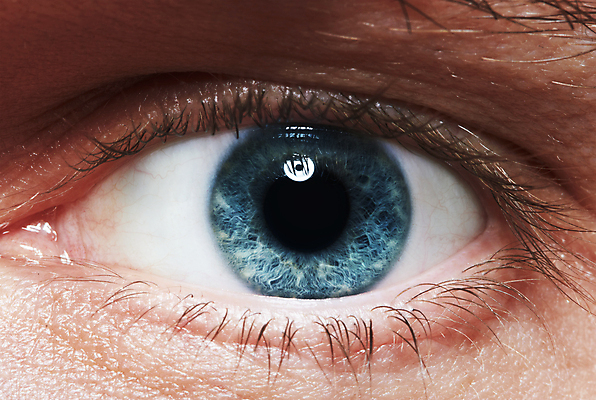 포토 JPG 해외이미지 학생 응시 남자 얼굴 컨셉 사람 소년 사람없음 파란색 표현 관찰 닫기 눈동자 눈썹 속눈썹 피부 묘사 비전 붓꽃 안과 해외202004 해외포토 시선 꽃 어린이 컬러 모션 병원 신체부위 눈_신체부위 파일형식 이미지허브